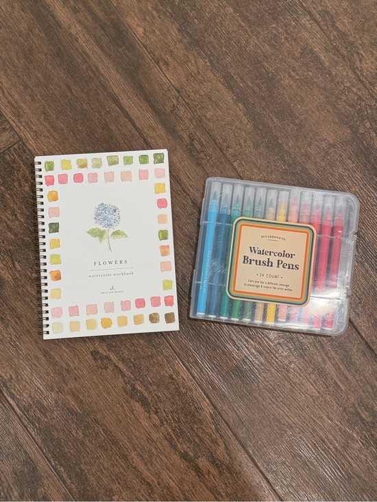 emily lex studio Other - Emily Lex Studio watercolor workbook and watercolor pen set.